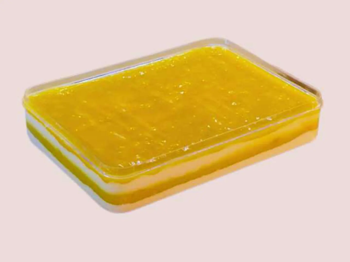 Mango Mousse Cake