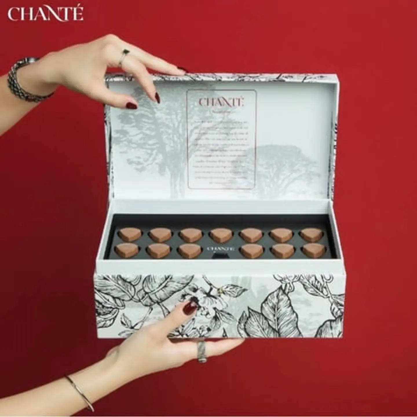 شانتي سولتير