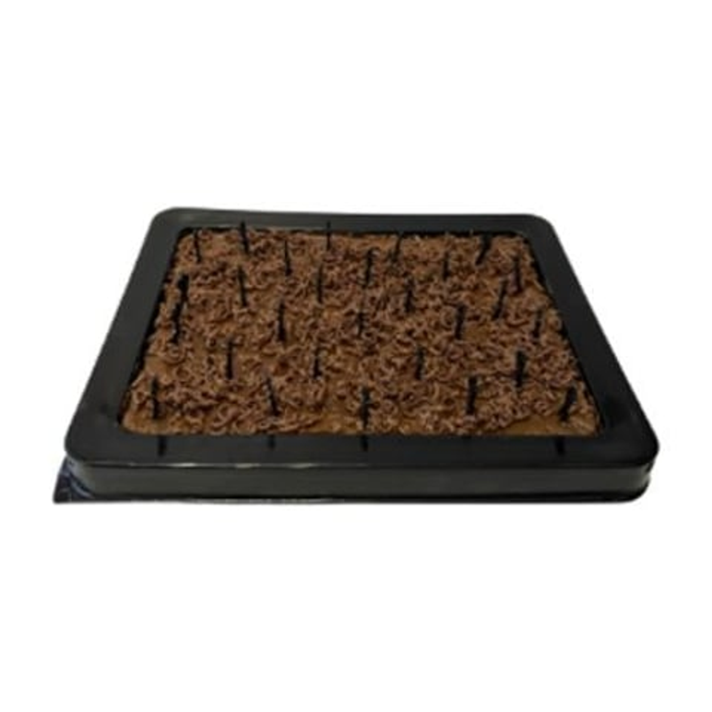 حلا براونيز