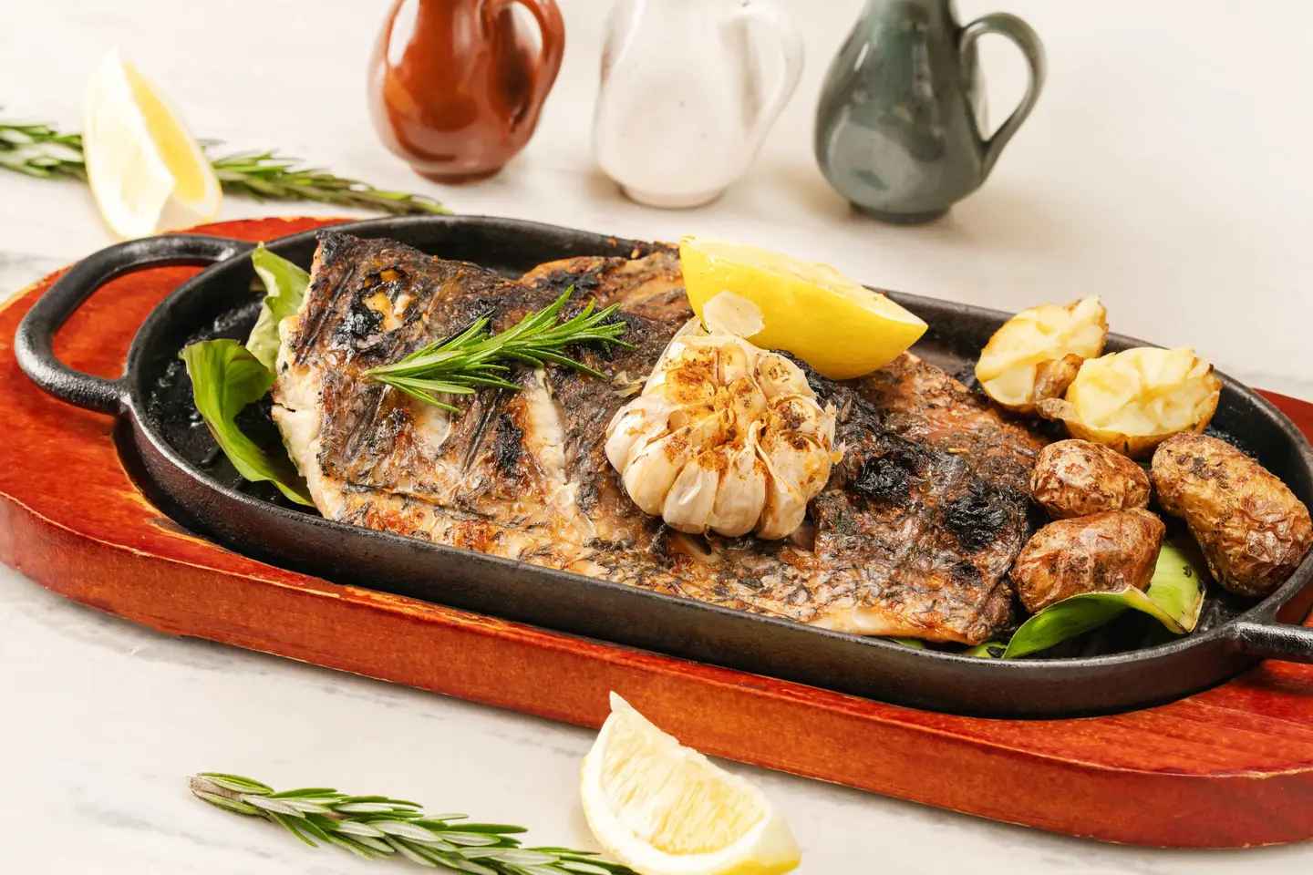 Mediterranean Sea Bass