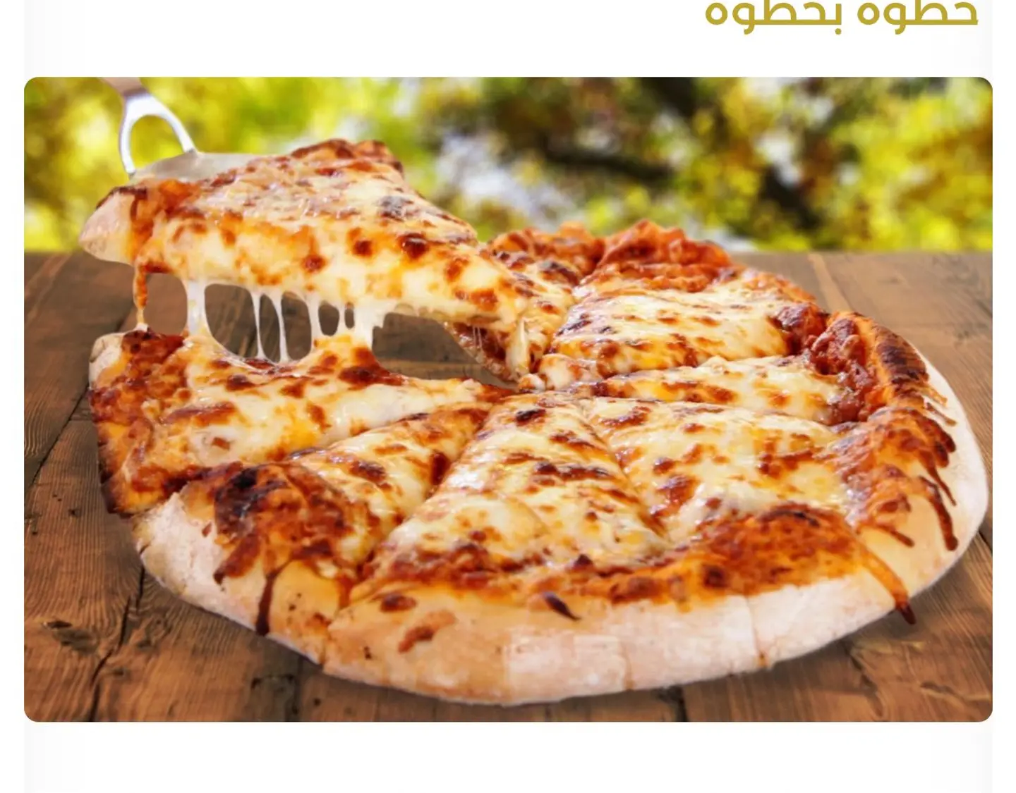 عش البلبل باللبنة والعسل والمكسرات والفستق آطراف جبن - صغير