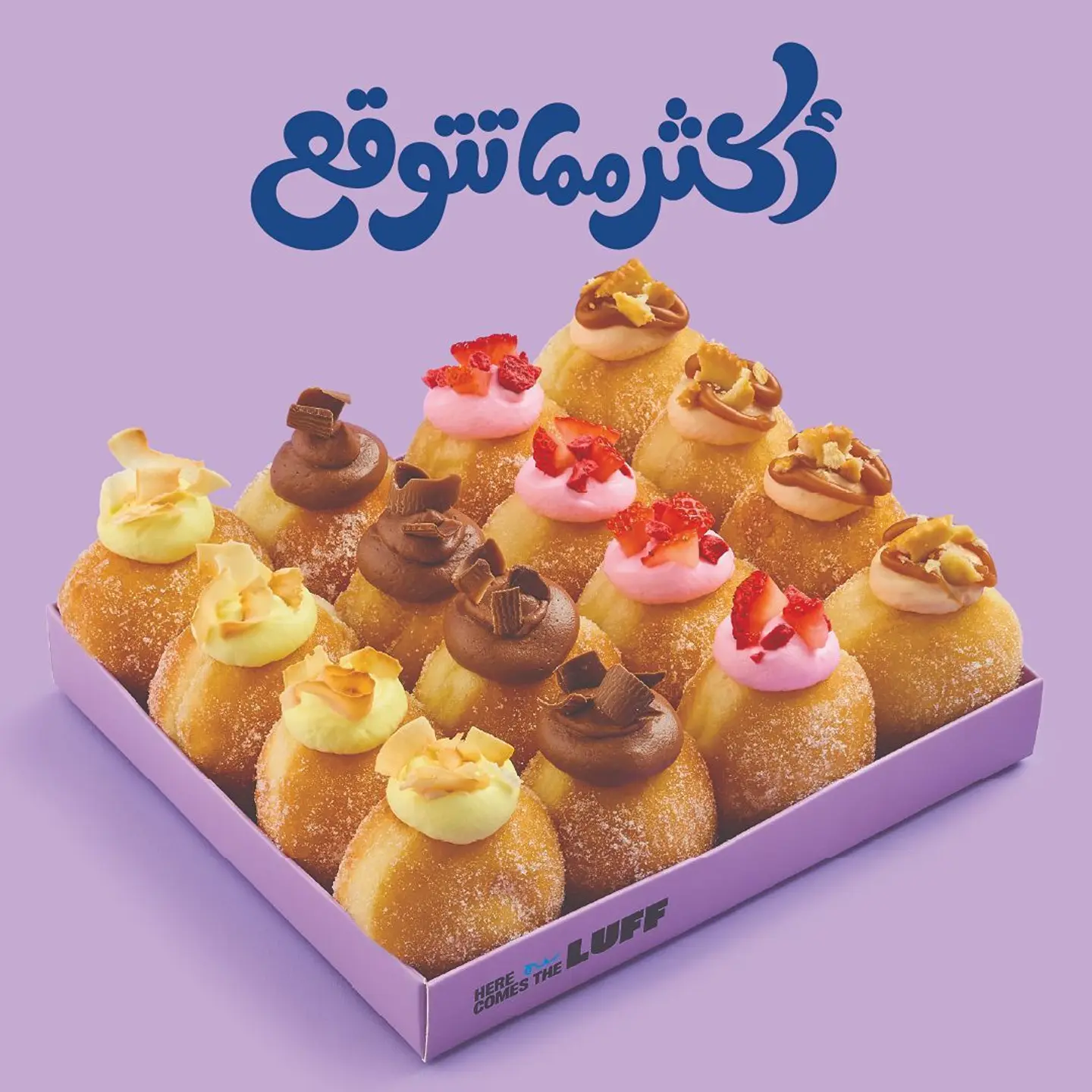 Cheesecake Collection 16 Pcs
