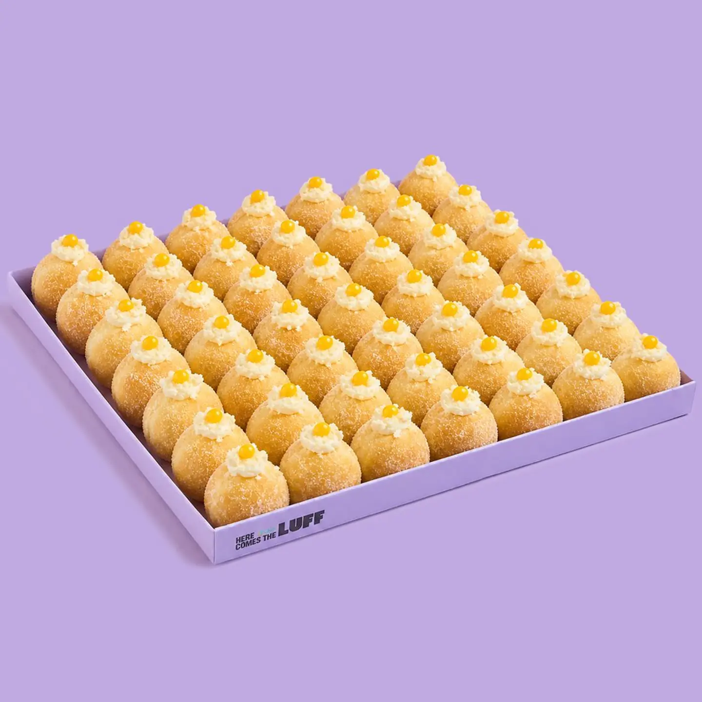 Box Of 49 Pcs