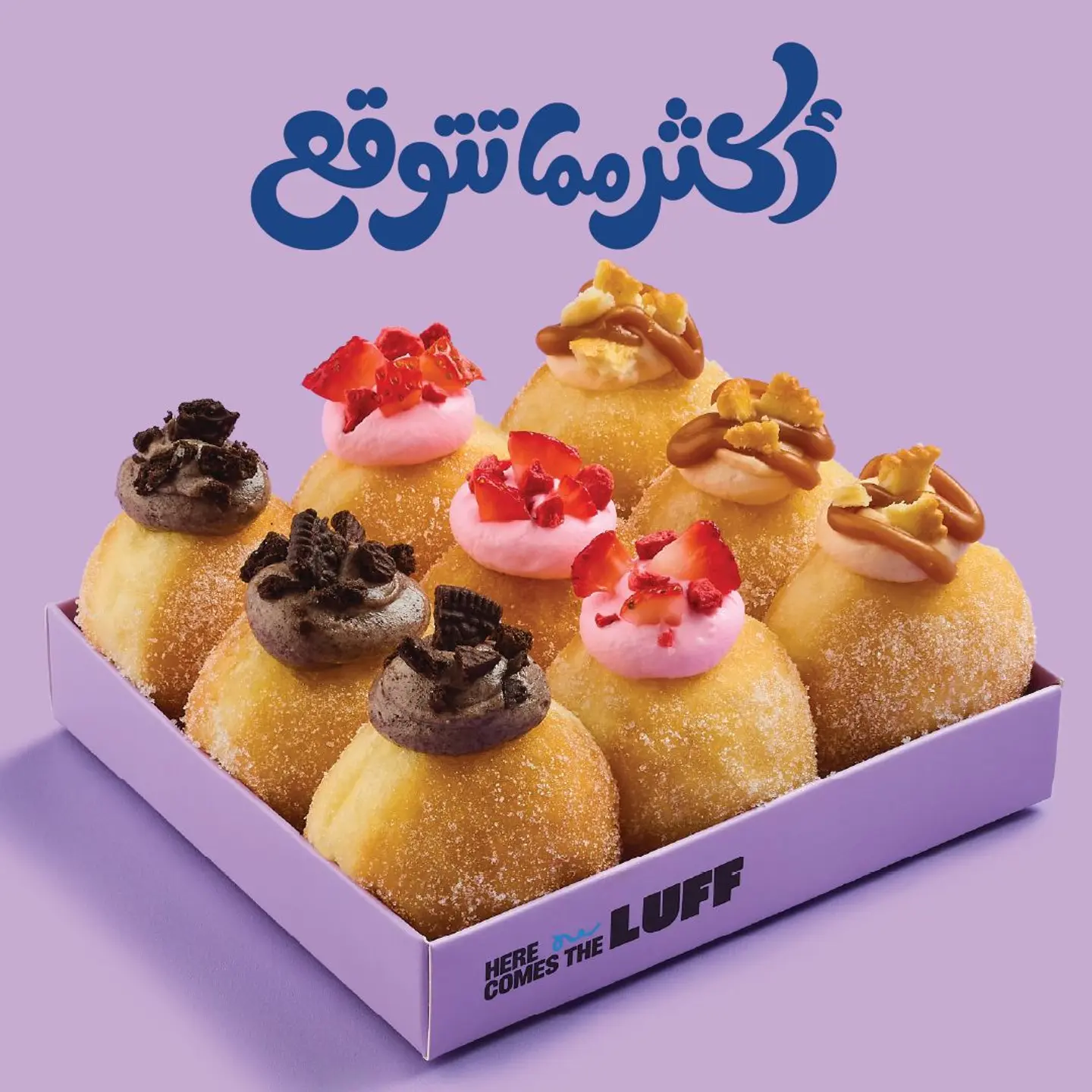 Cheesecake Collection 9 Pcs