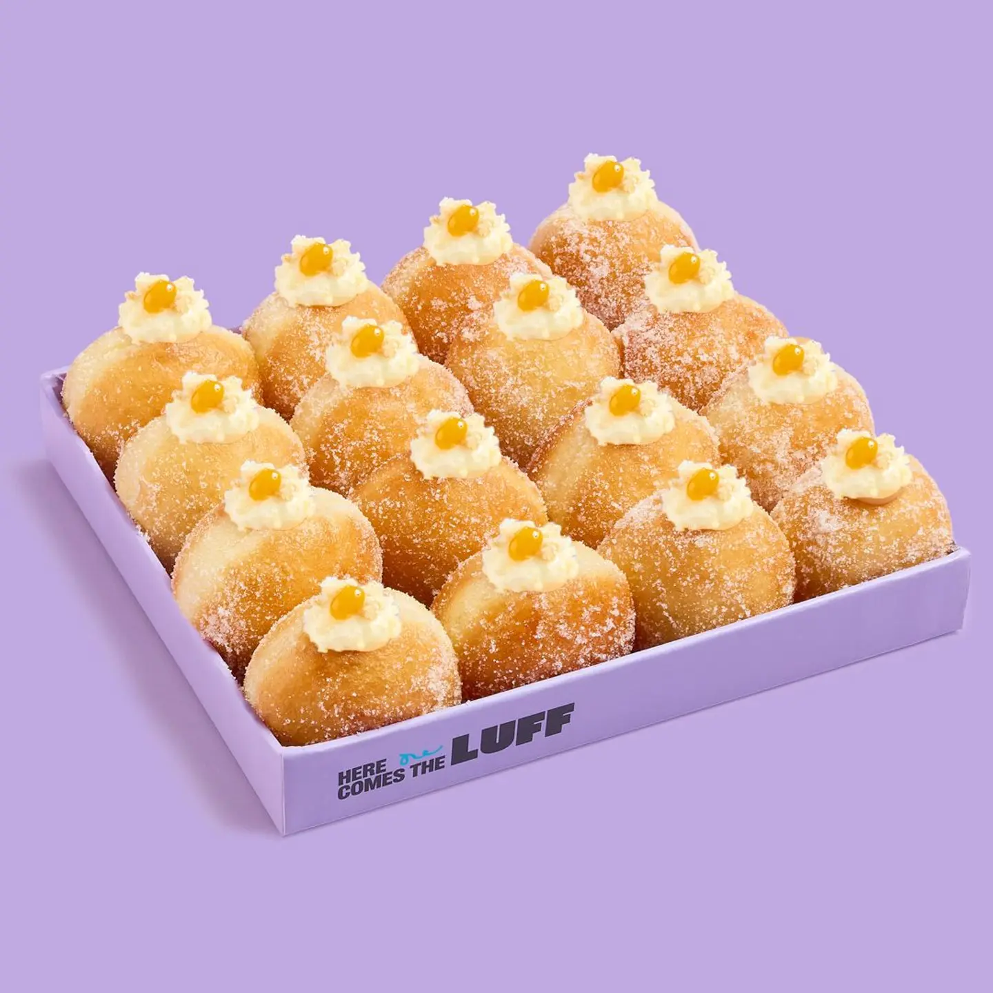 Box Of 16 Pcs