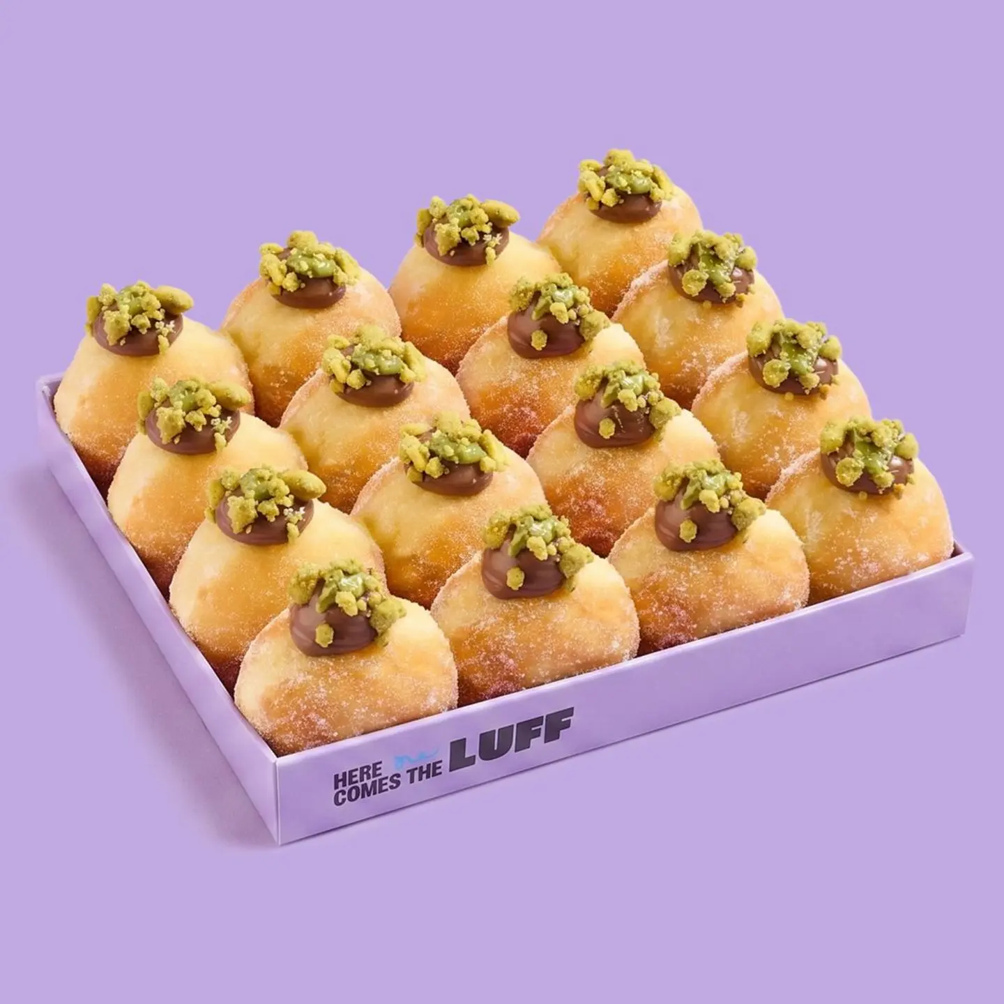 Box Of 16 Pcs