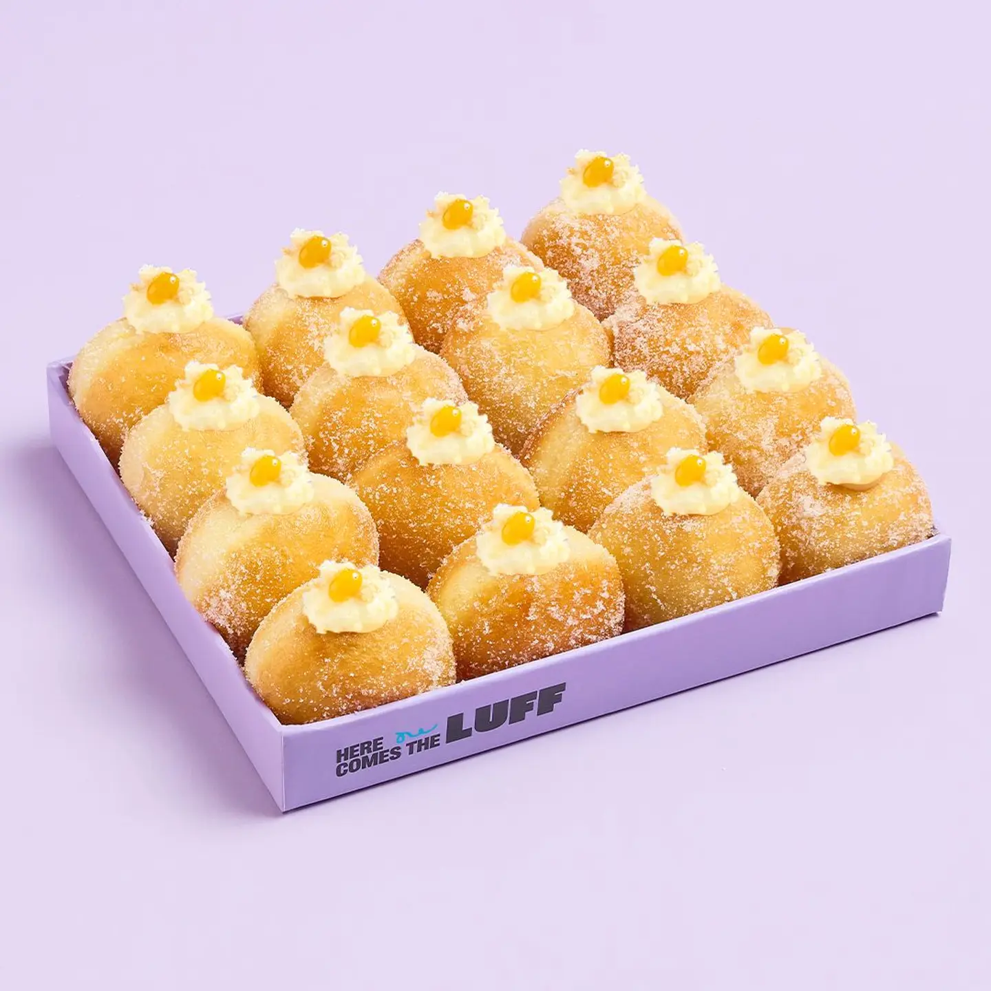 Box Of 16 Pcs