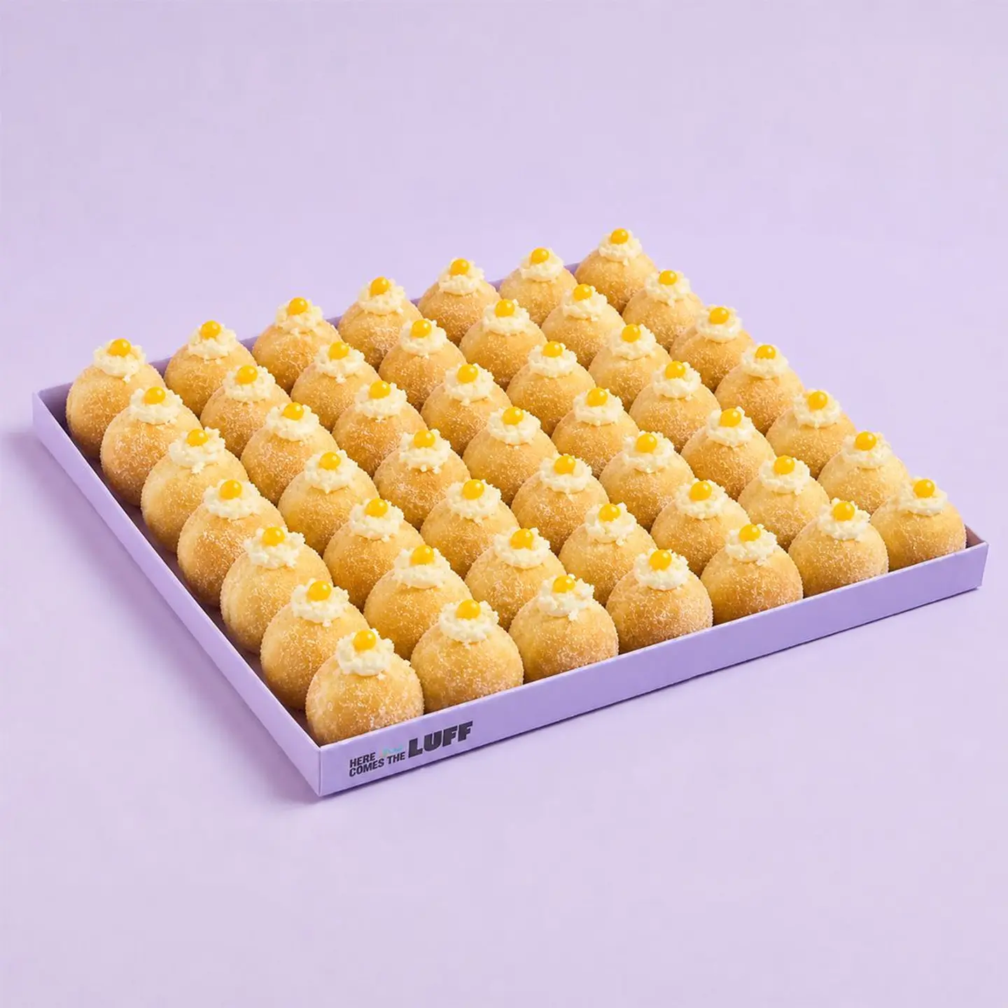 Box Of 49 Pcs