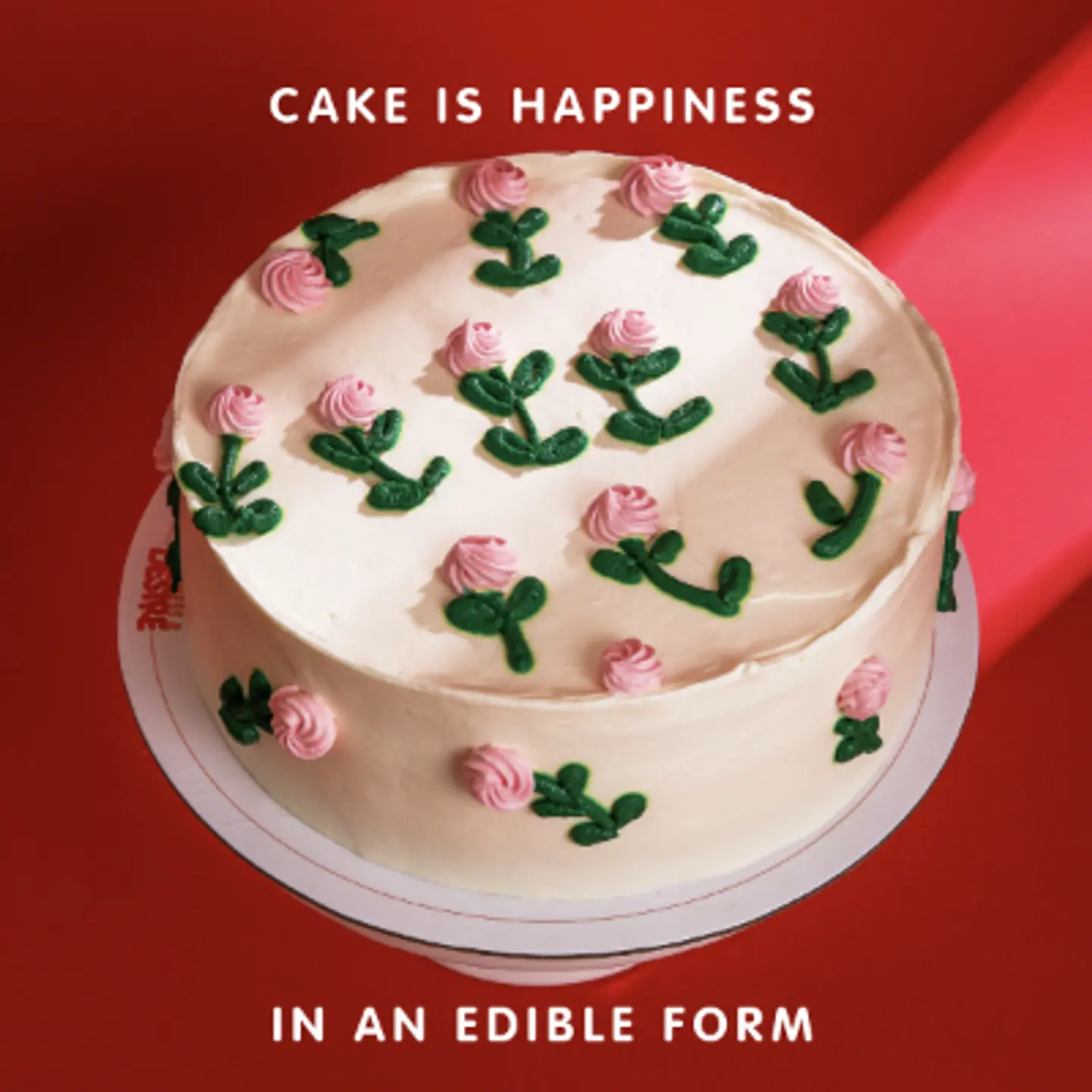 Pink And White Floral Cake
