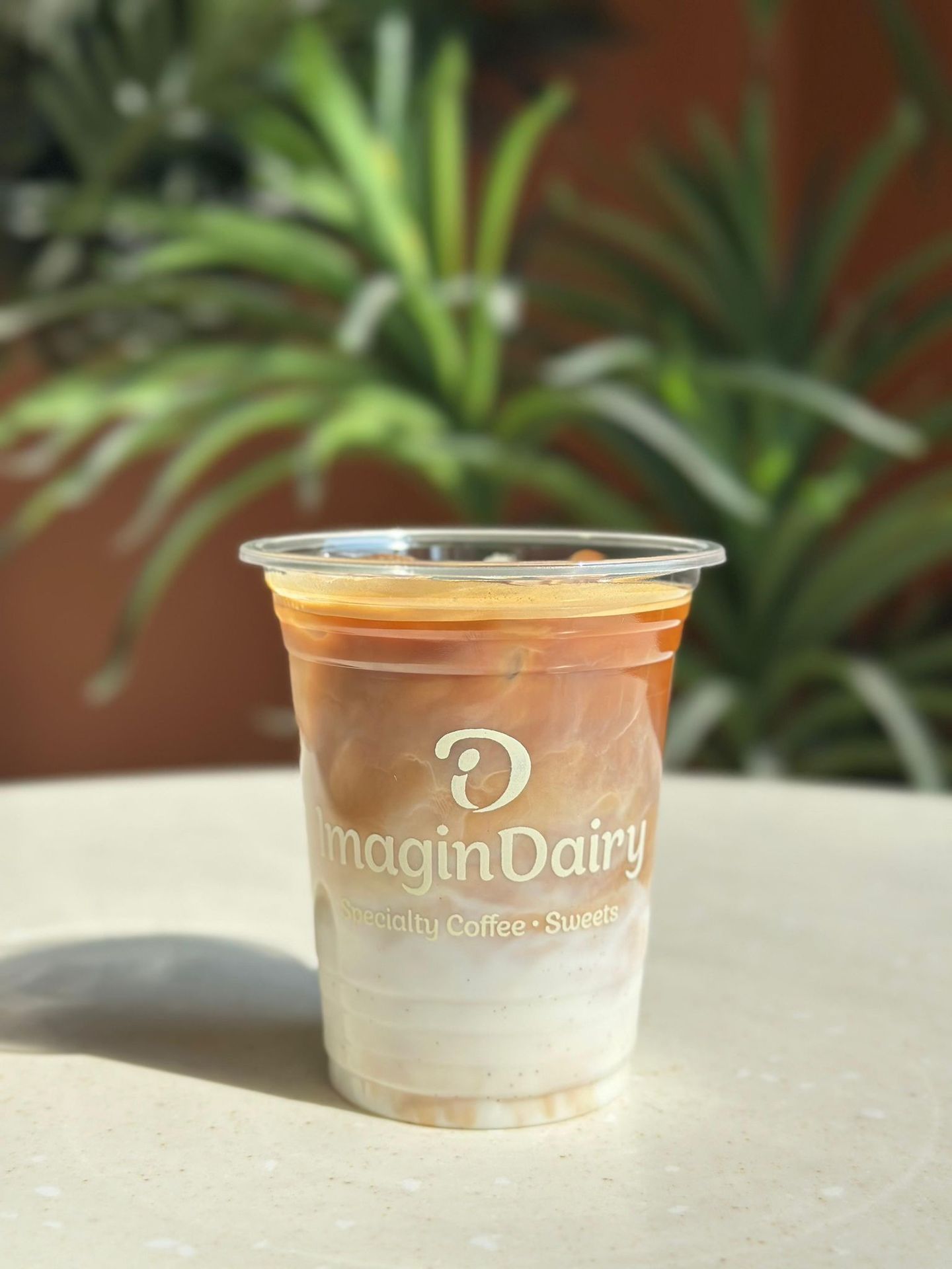 Iced Spanish Latte