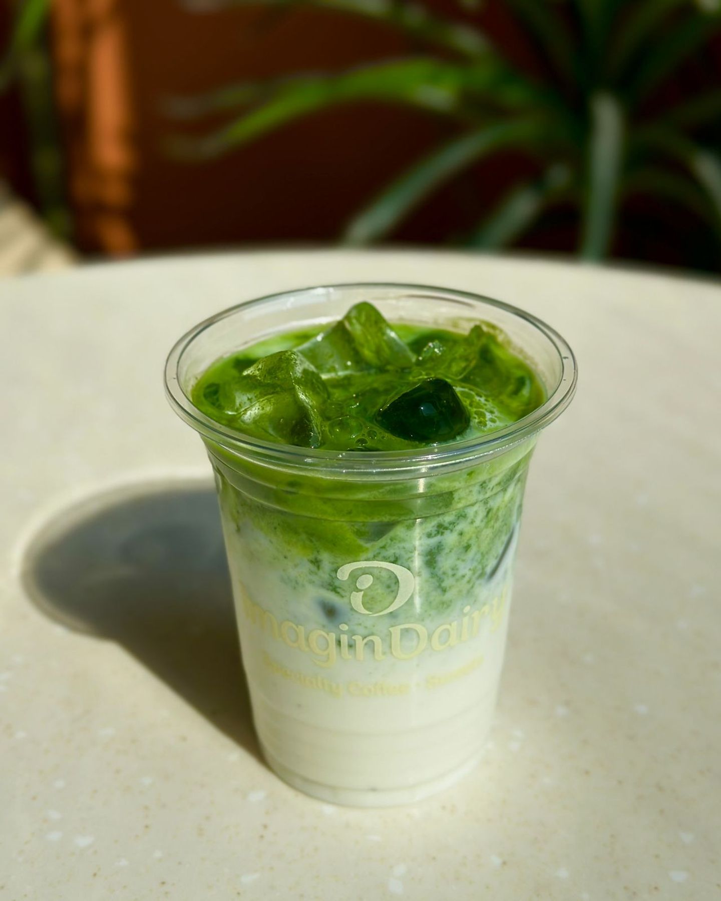 Iced Matcha