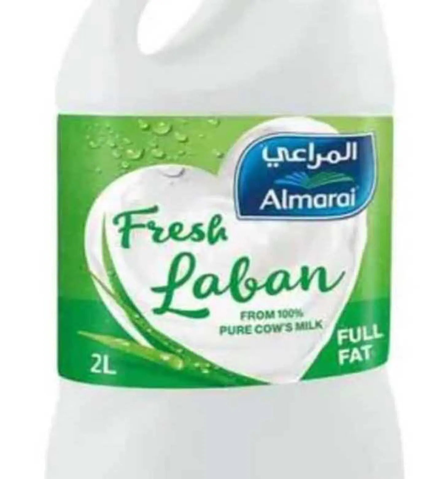 لبن كبير