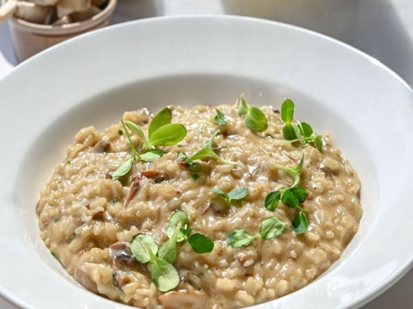 Risotto Porcini