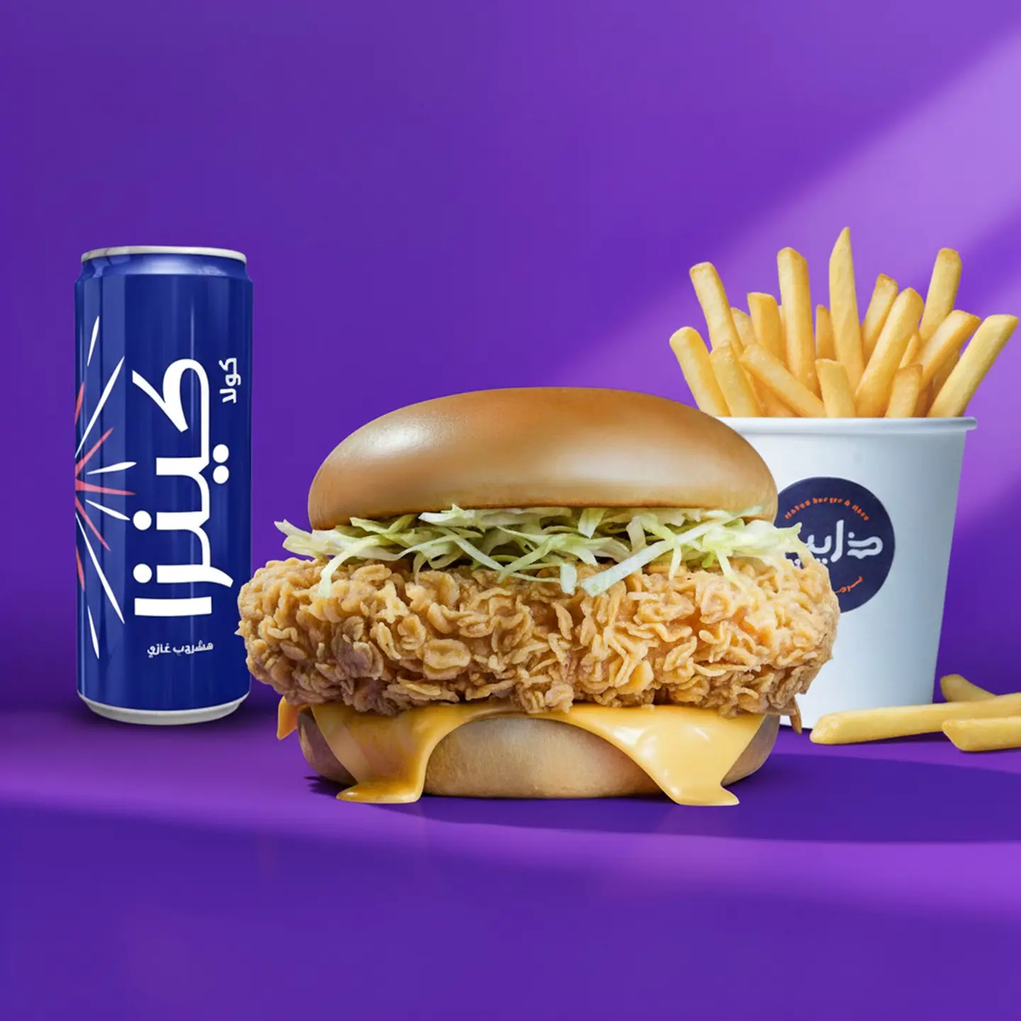 وجبة تسكيتة فيلية دجاج