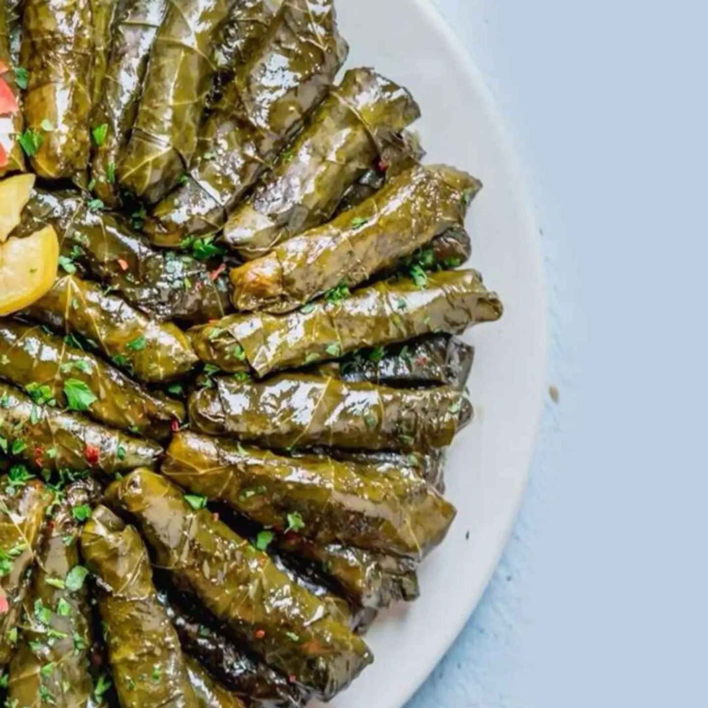 ورق عنب صغير