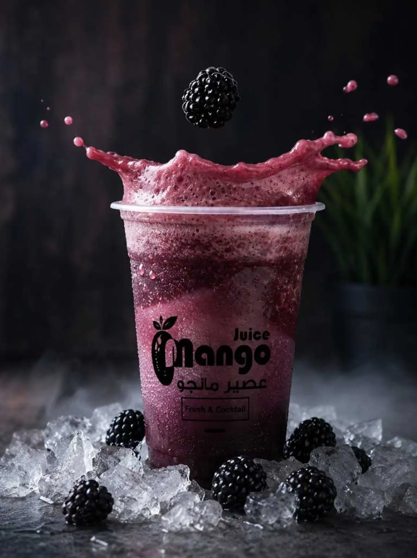 Vimto Berry