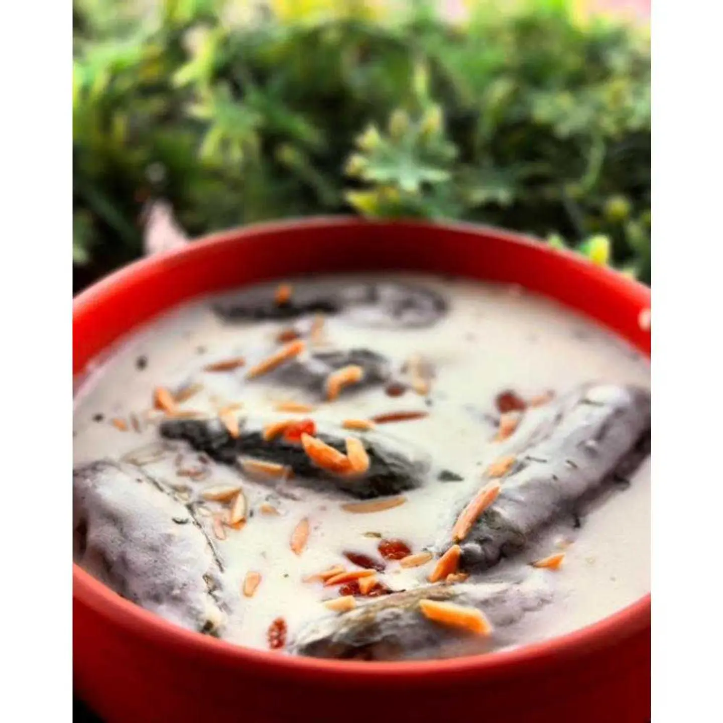 بوكس كوسة باللبن