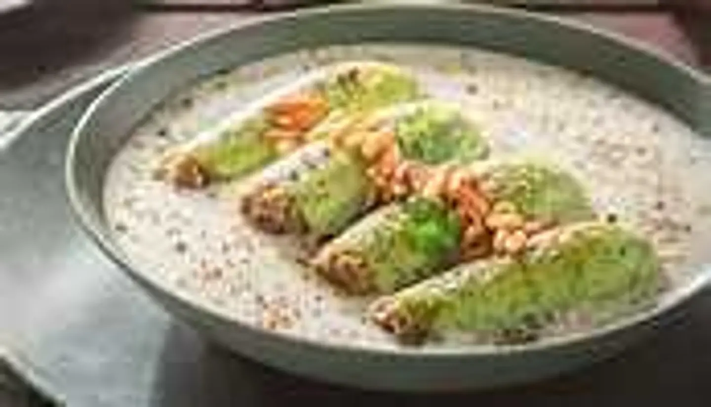 كوسة باللبن