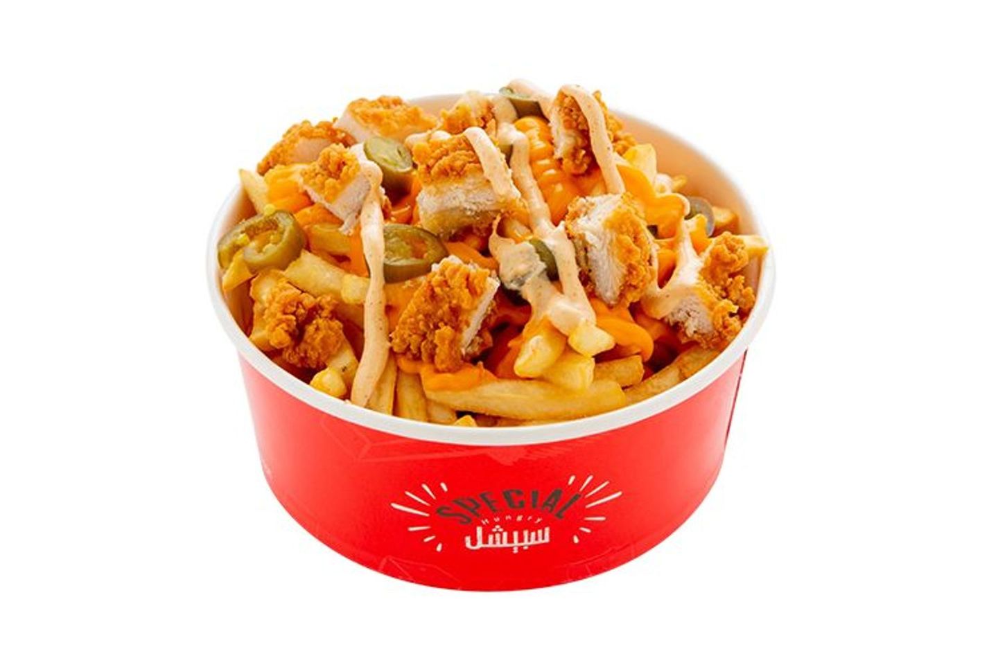 Special Chicken Fries