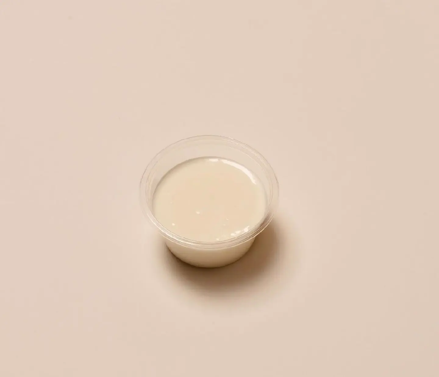 Garlic Sauce