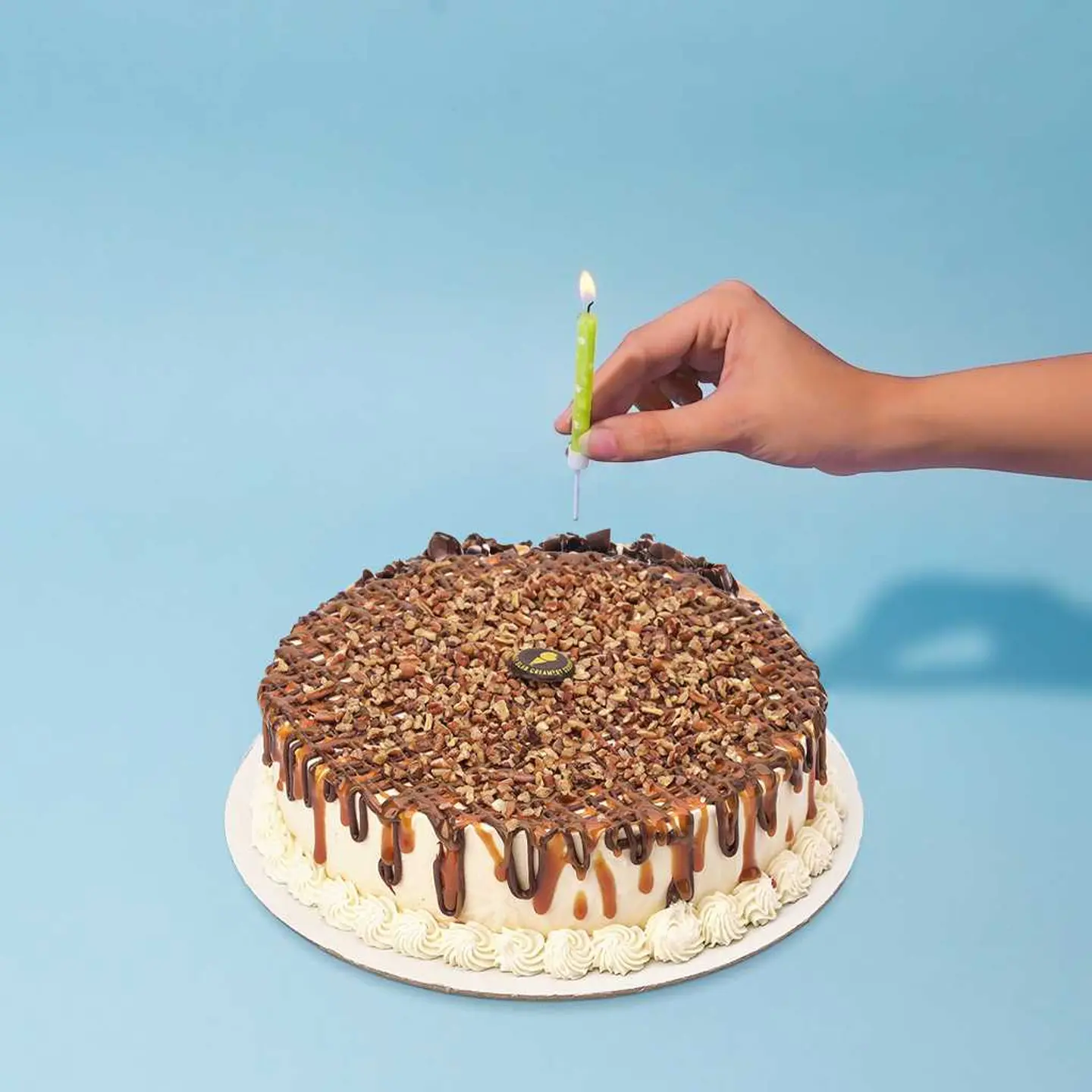 Turtle Cake
