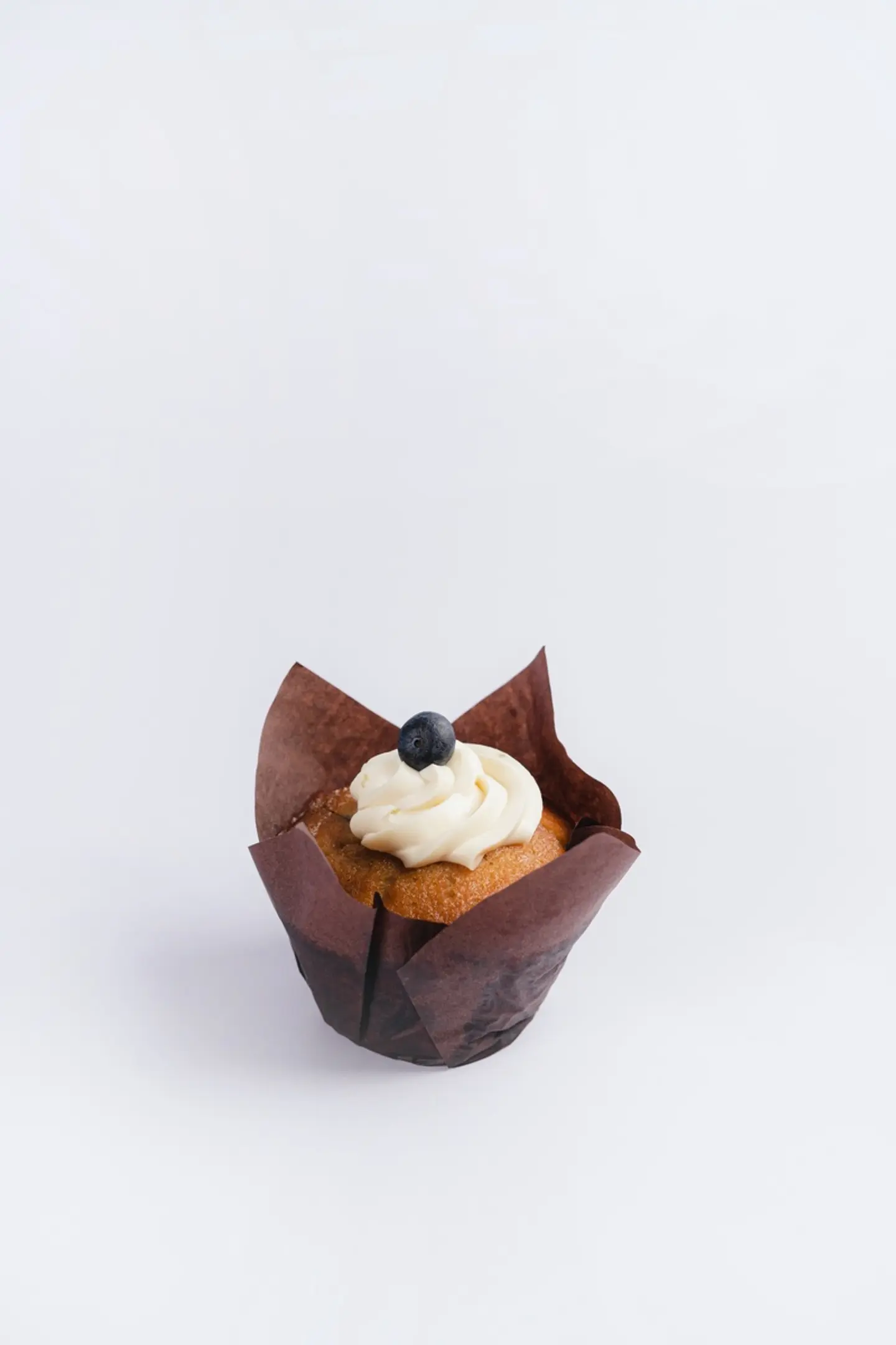 Blueberry Muffin