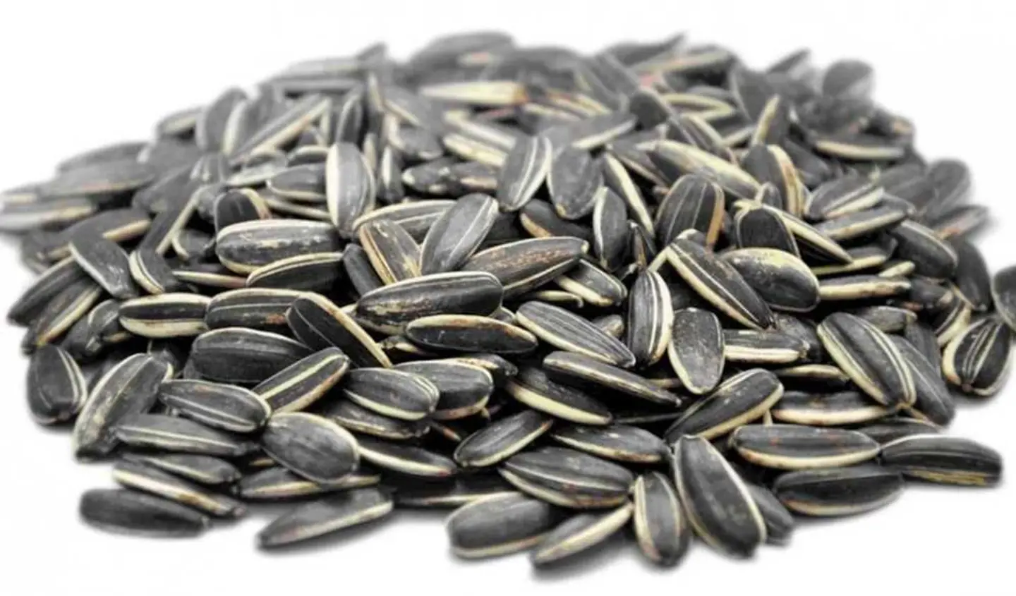 Salted Sunflower Seeds