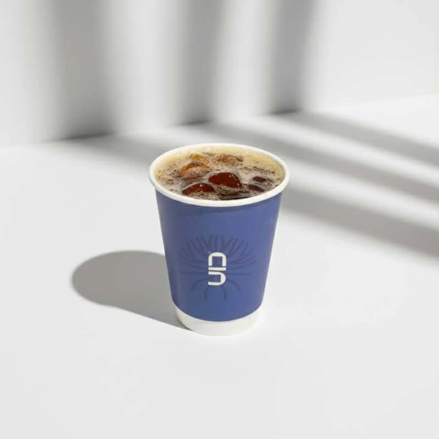 Iced Coffee Day 12 Oz