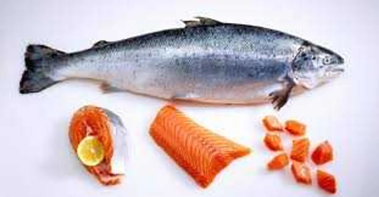 Salmon Fish Grilled Limon 500 Gm