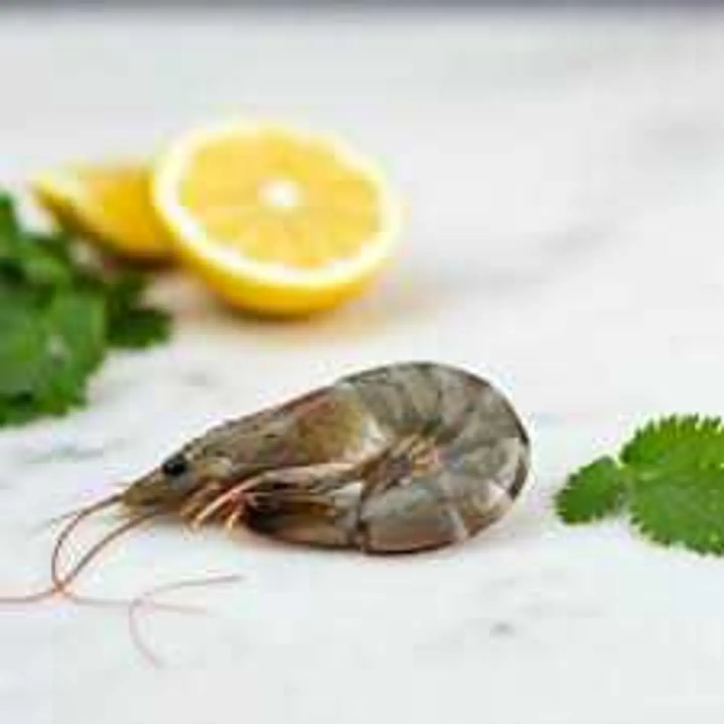 Medium Shrimp Fraid 500 Gm