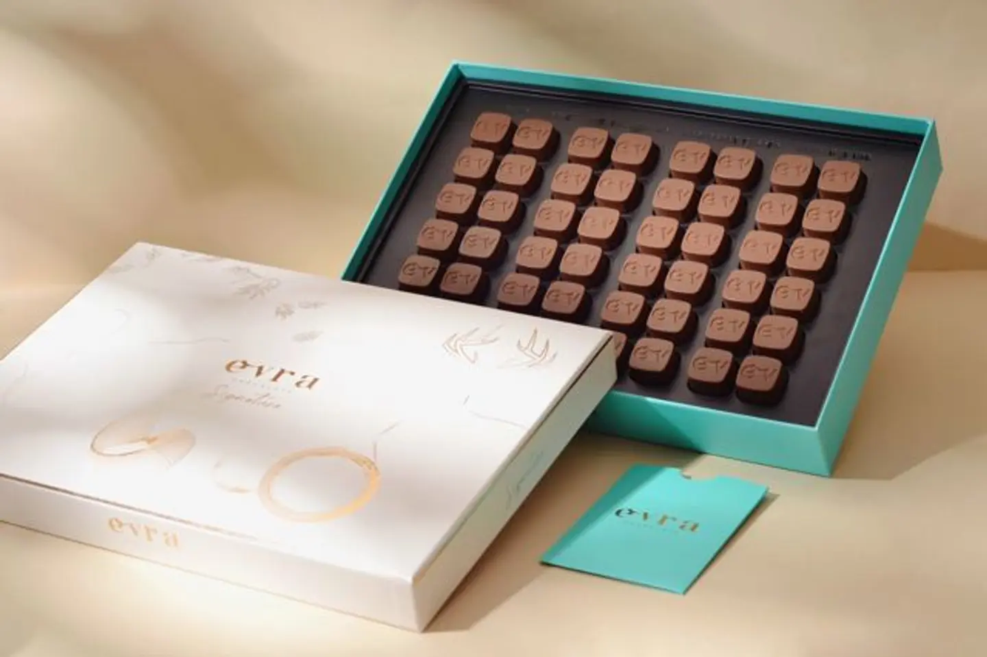 ايفرا سيجنتشر