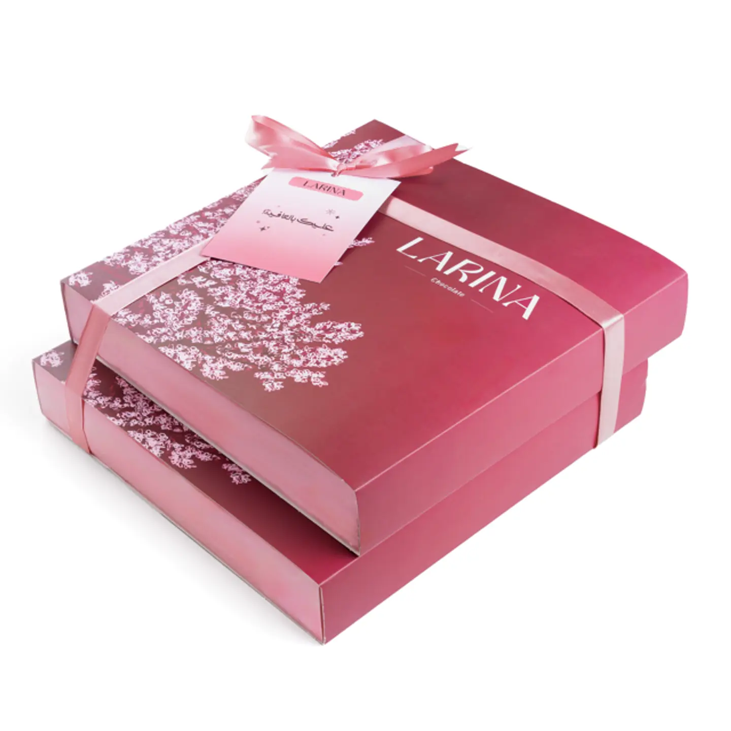Larina Offer