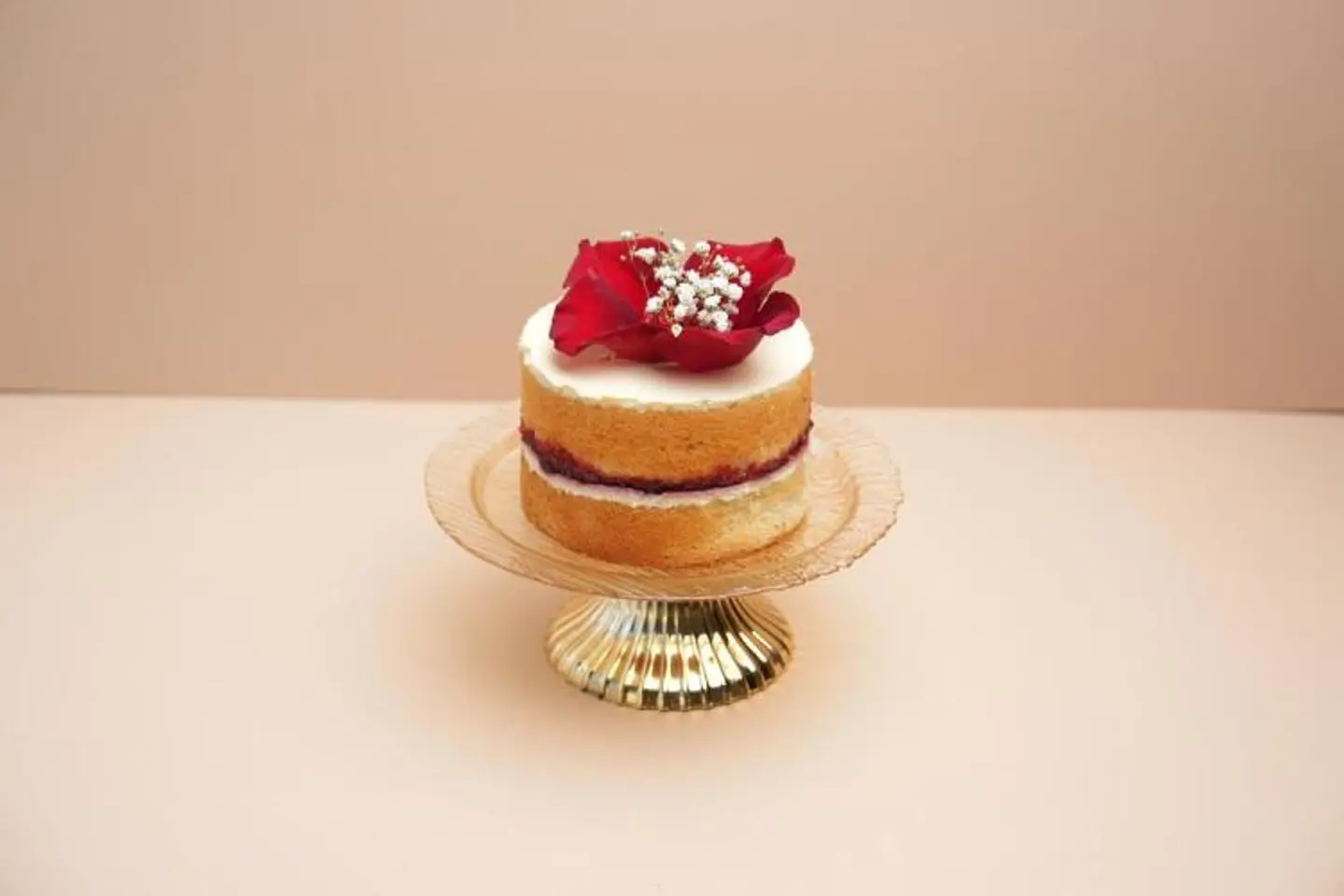 Minnie Rumman Tortoise