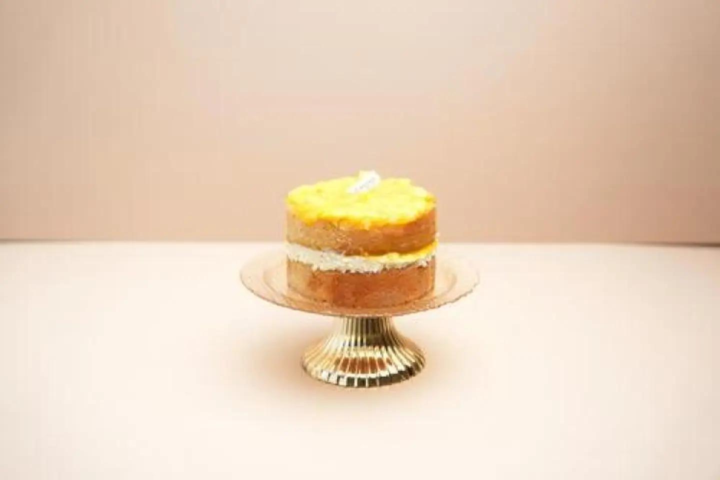 Minnie Mango Tortoise