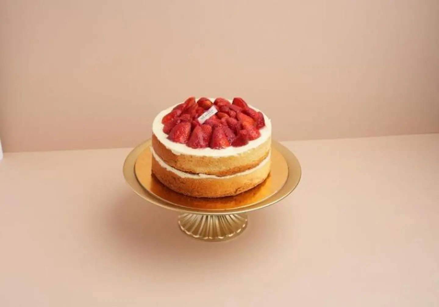 Small Bavarian Tortoise