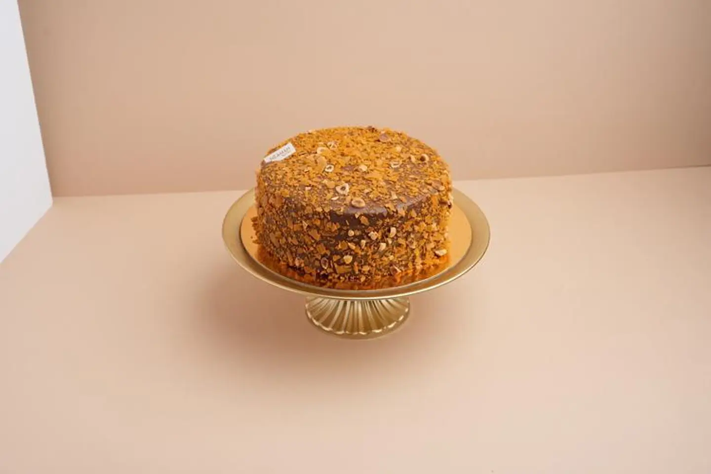 Small Princess Tortoise