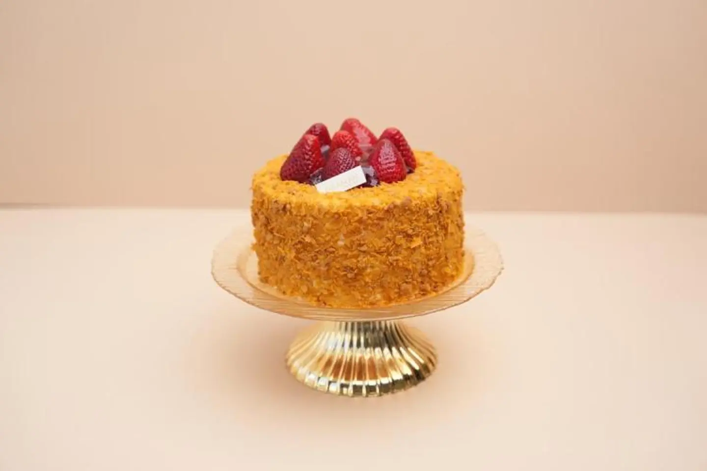 Minnie Beaverin Tortoise