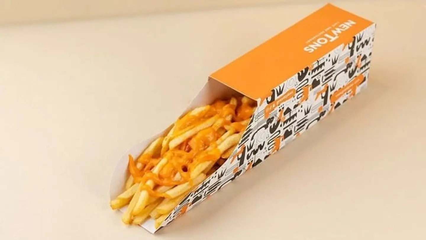 Cheesy Fries