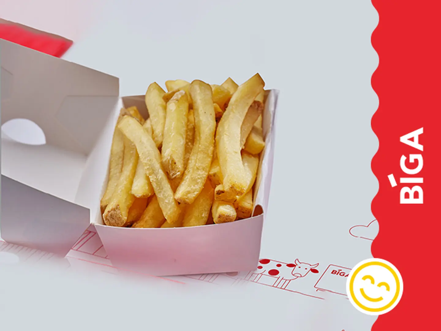 Spicy Fries