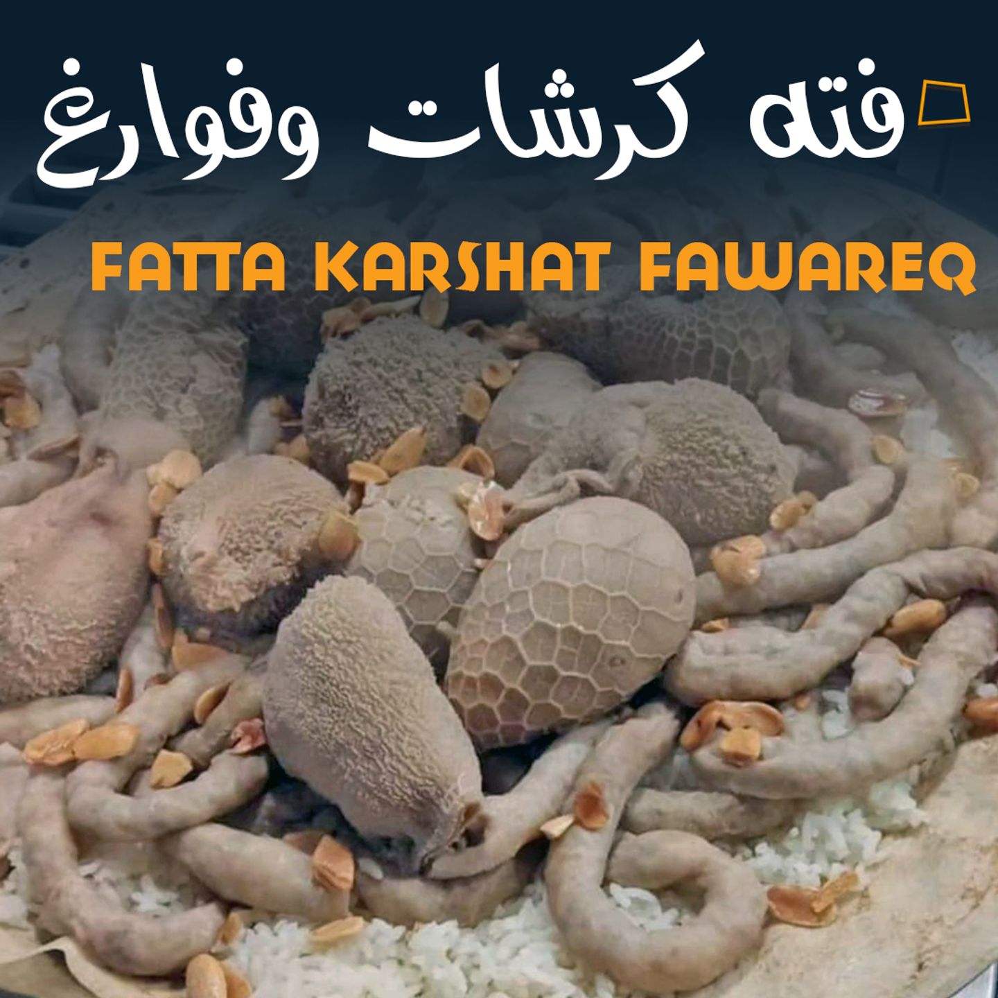 Fatta Mix Big