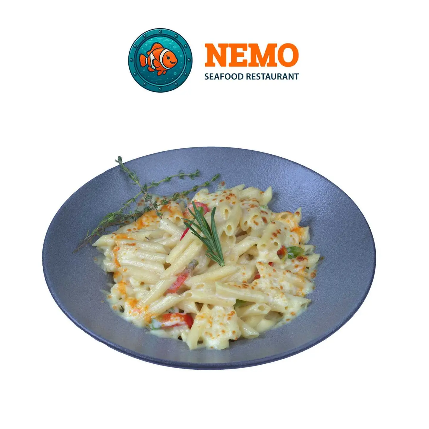 Plain Penne Pasta White Sauce