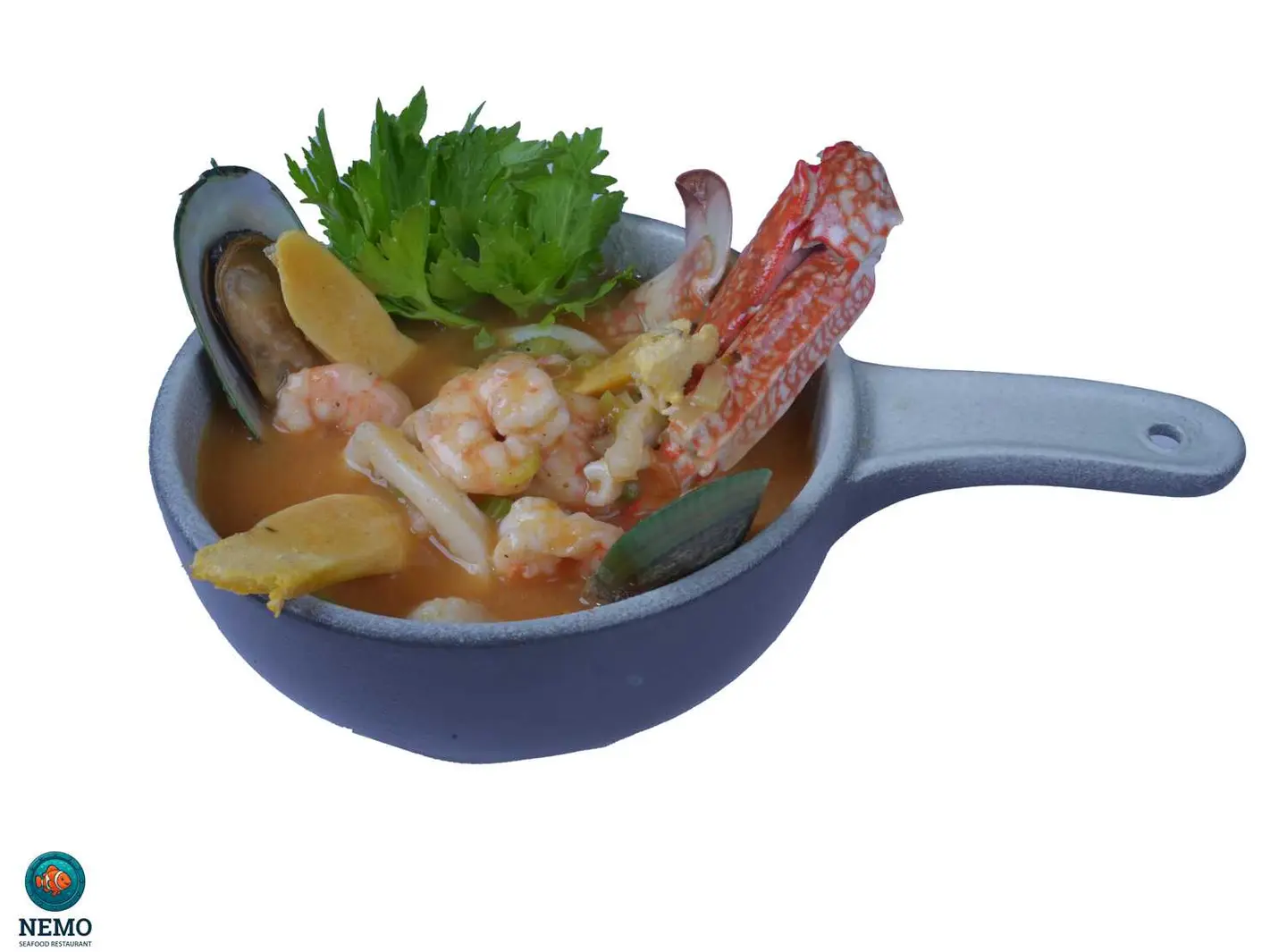 Nemo's Special Soup