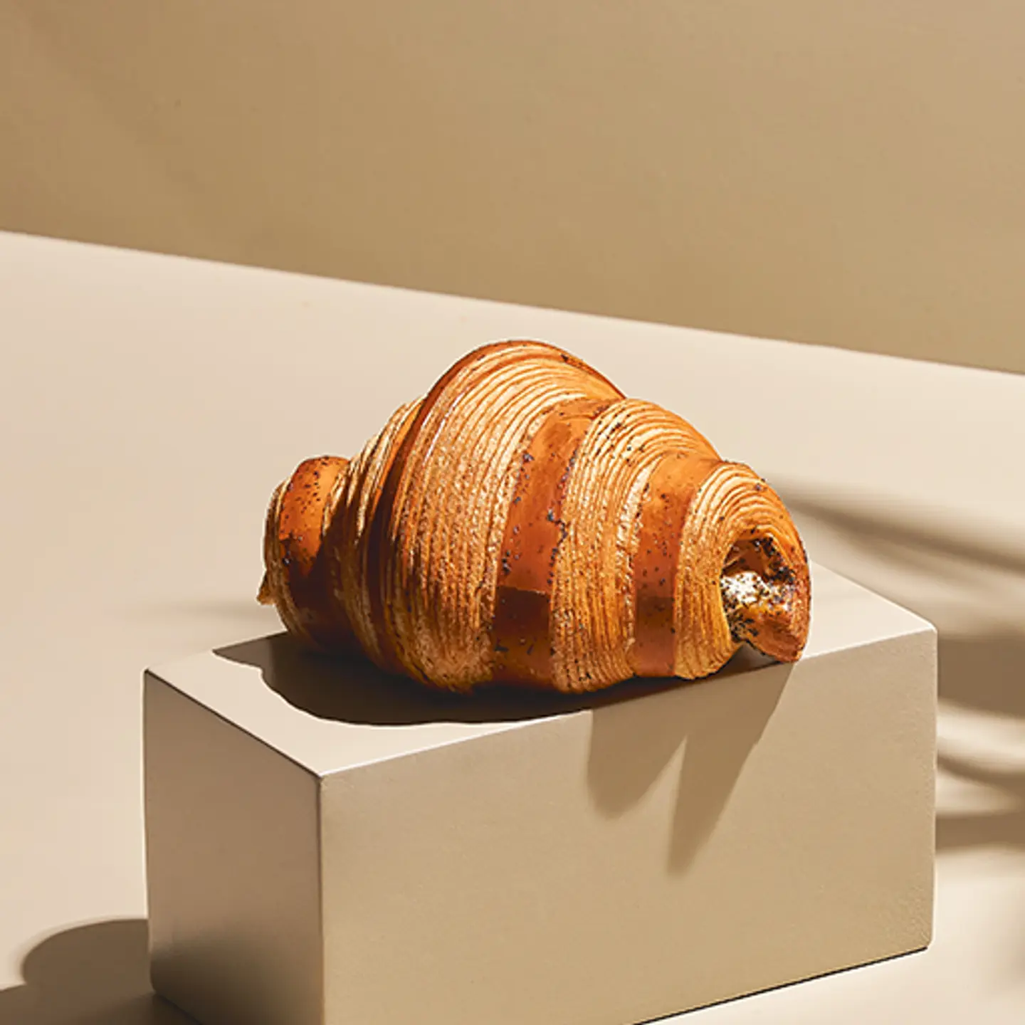 Cheese Croissant And Dried Mint