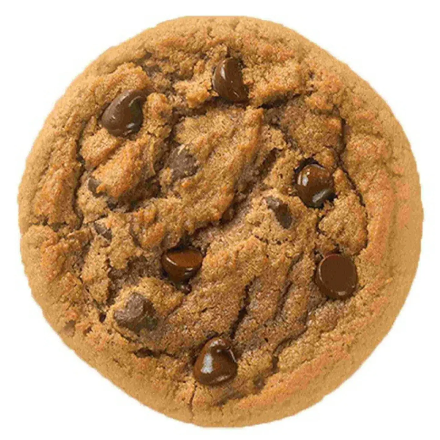 Double Chocolate Cookies