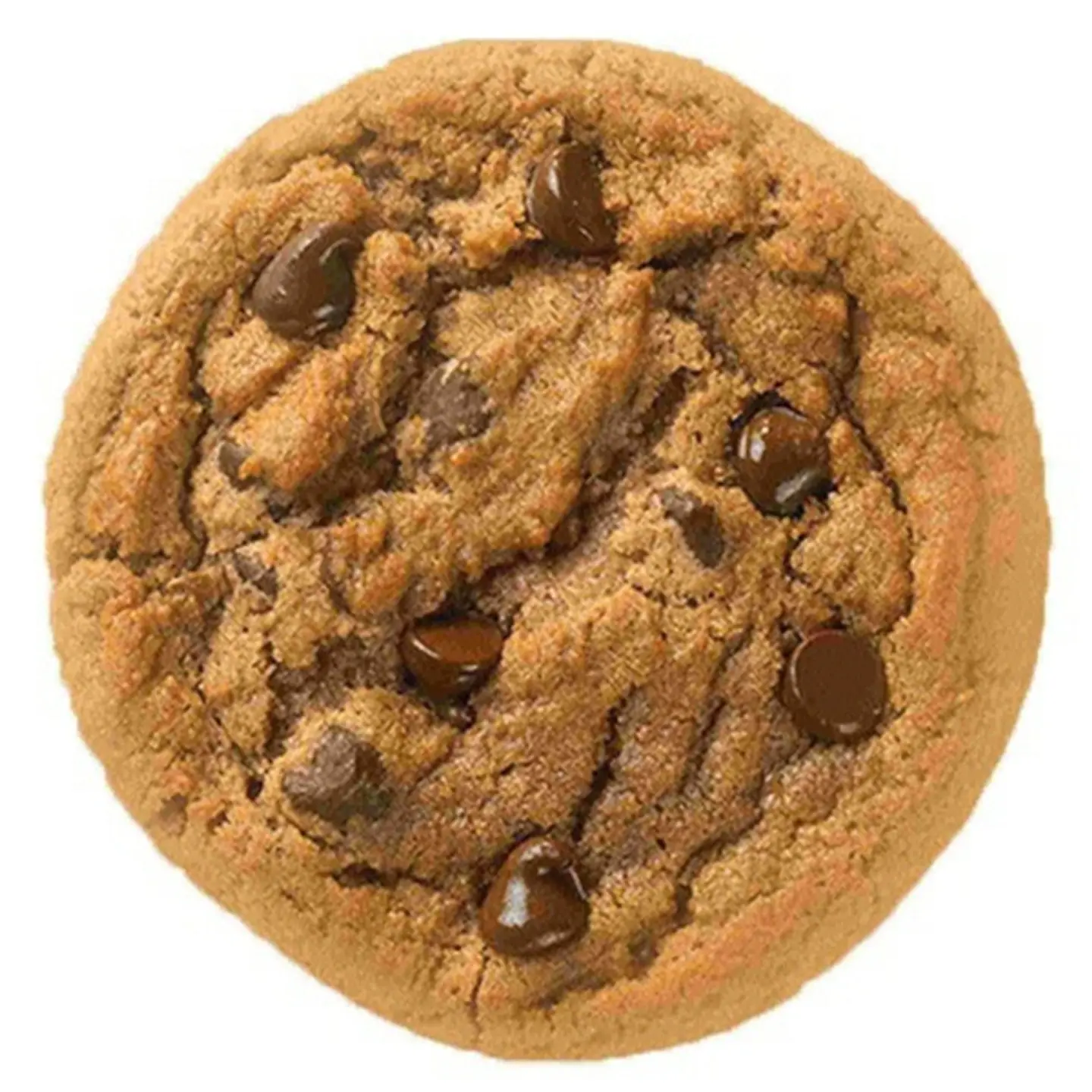 Double Chocolate Cookies