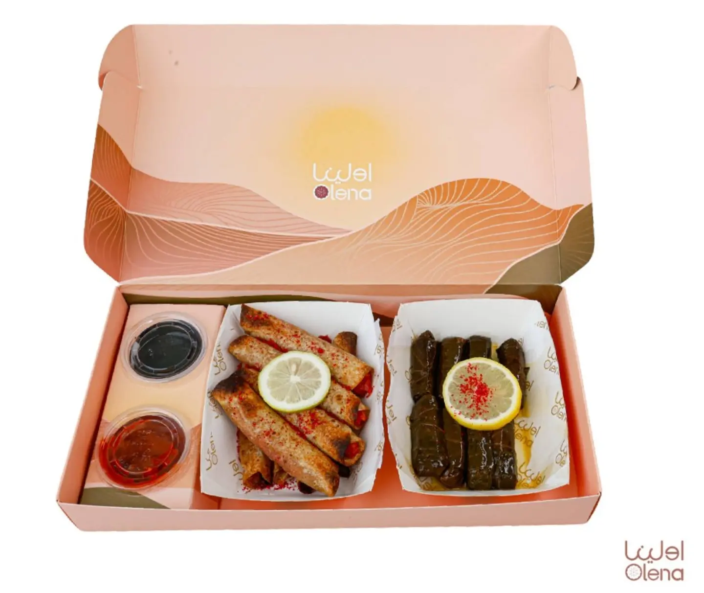 Musakhan And Grape Leaves Box Small