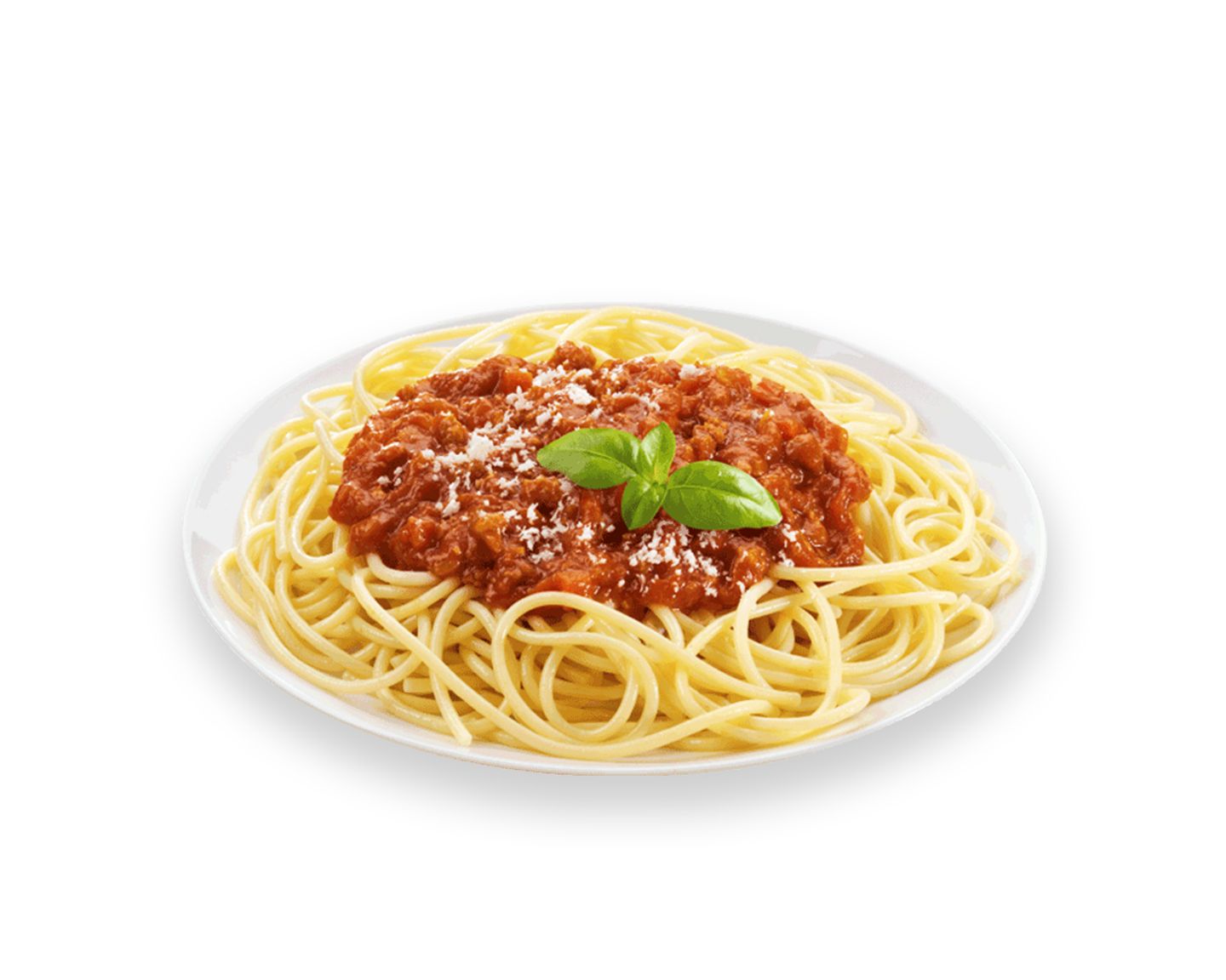 Alfredo Pasta Dish