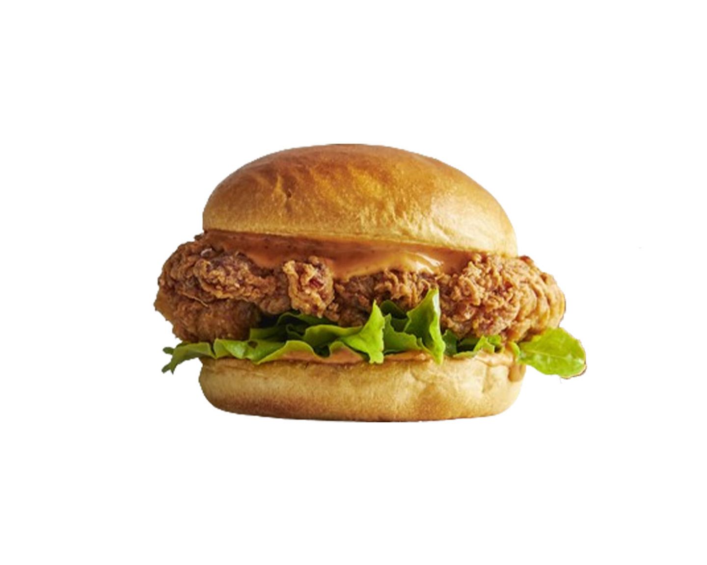 Crunchy Chicken Burger Sandwich