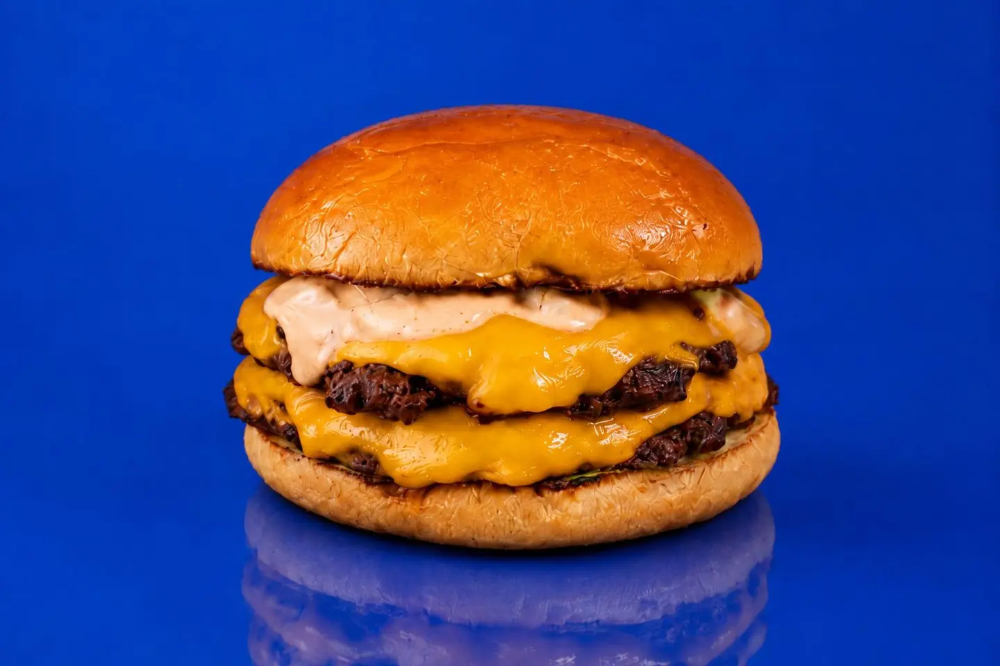 Oc Cheeseburger