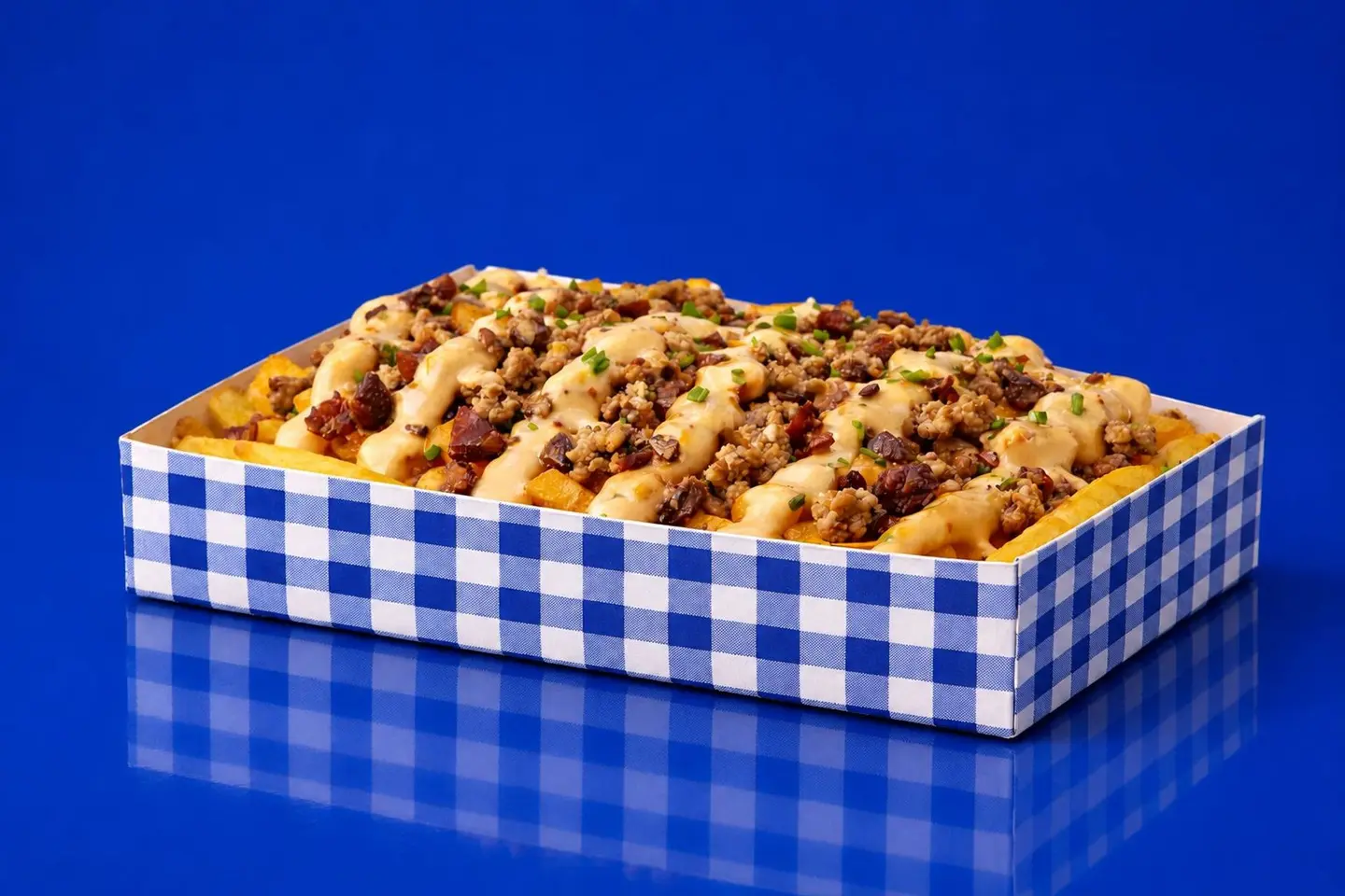 Special Loaded Fries